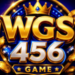 WGS456 Game